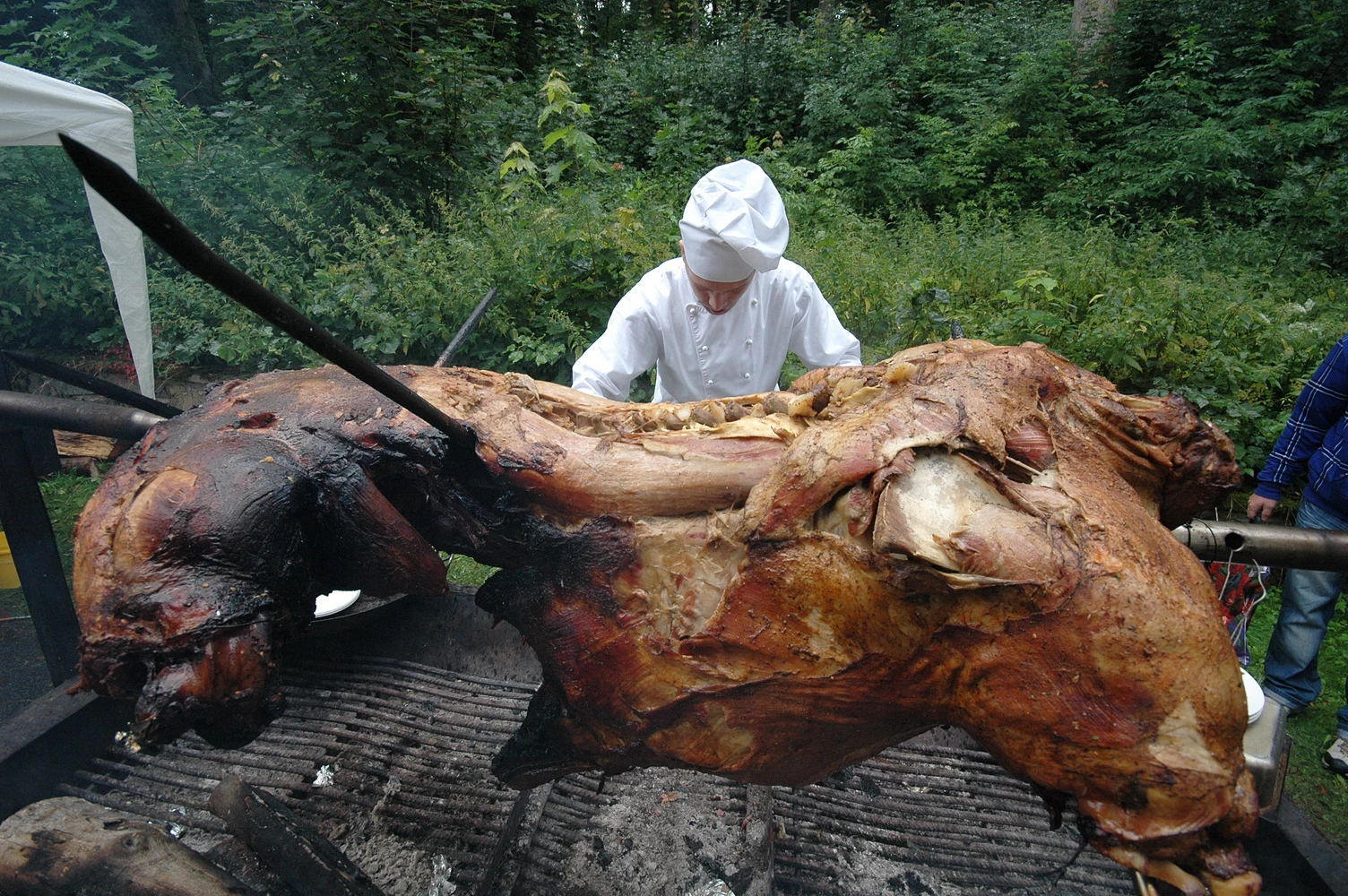 stara myslivna rozneni byka 01